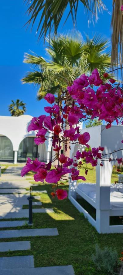 Maison - Dar Ouled Soltane Gammarth Exterior photo